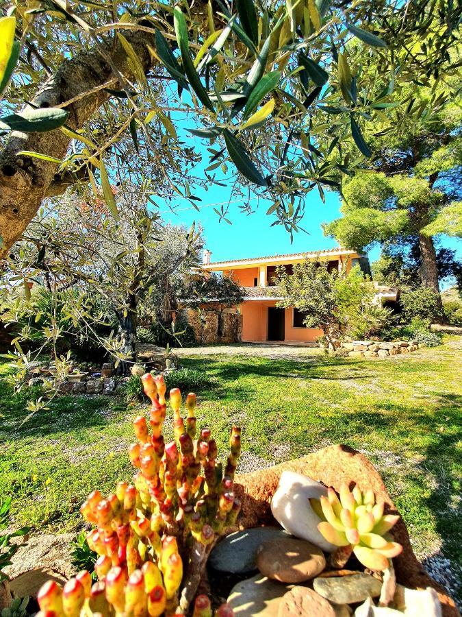 Villa Alice Apartments Orosei Exterior photo