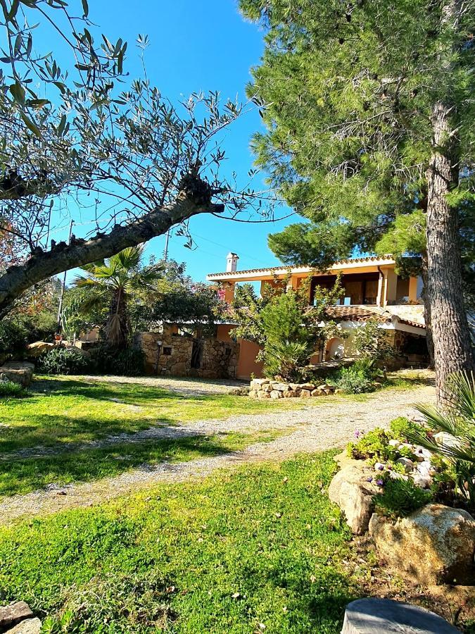 Villa Alice Apartments Orosei Exterior photo