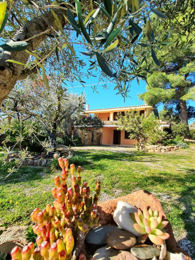 Villa Alice Apartments Orosei Exterior photo